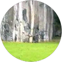 Blair Johnston profile picture